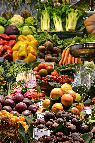 Alimentos frescos fr&iacute;os Cadena
